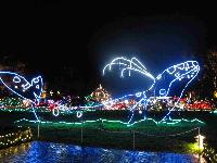 Whale Watching Depoe Bay 